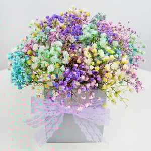 Arrangement 'Starlet'