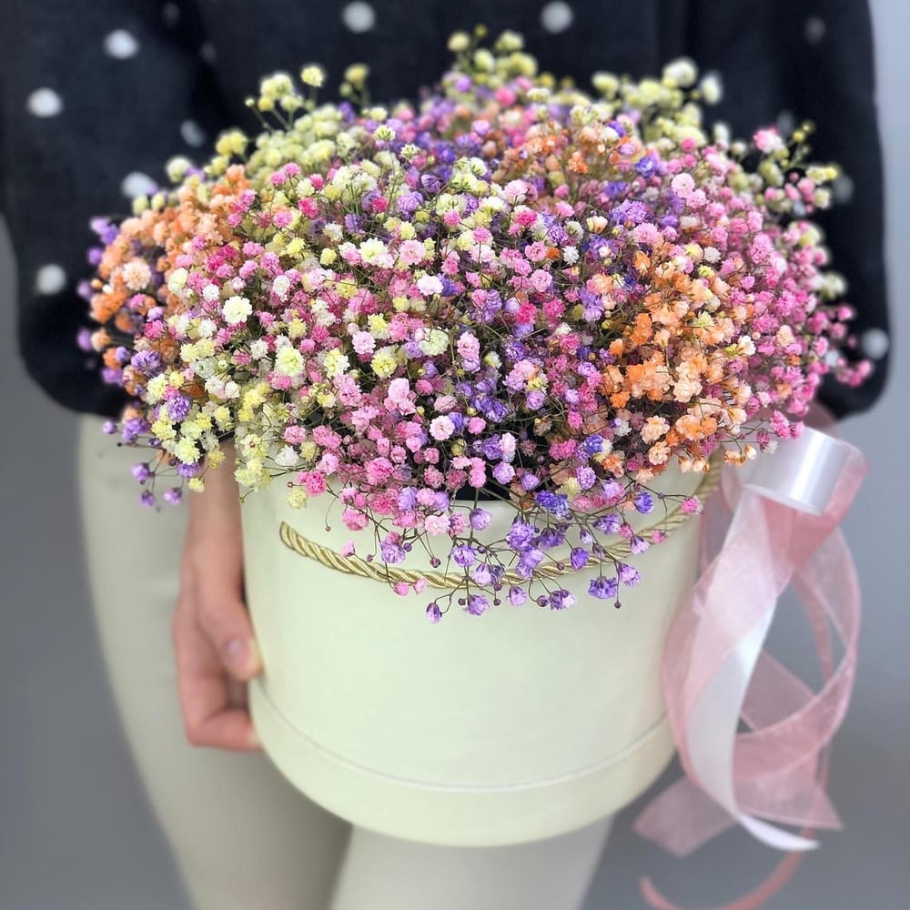 Cute Box of Multicolored Gypsophila